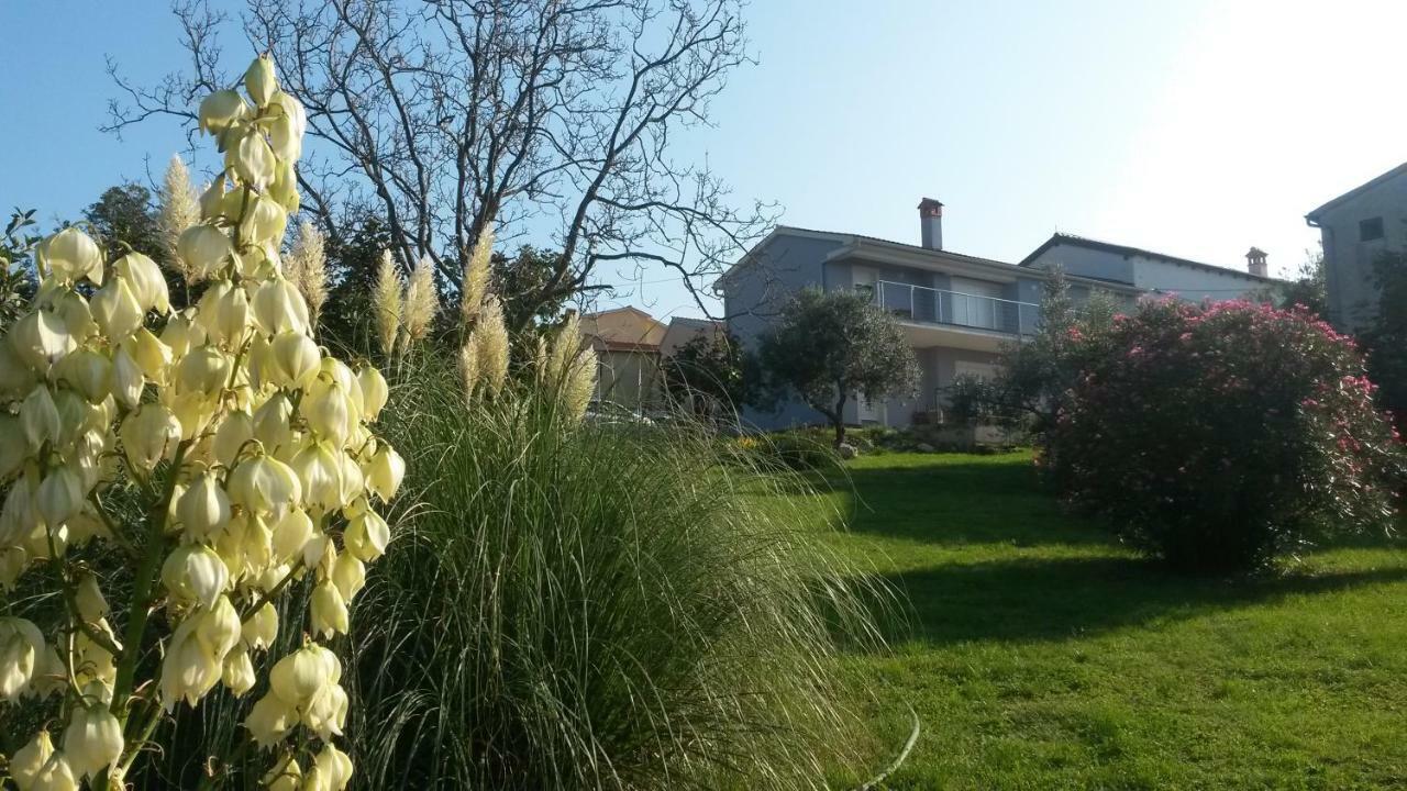 Vito & Maria Eco Friendly Accommodation Banjole Dış mekan fotoğraf
